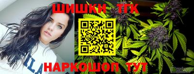 индика Кулебаки