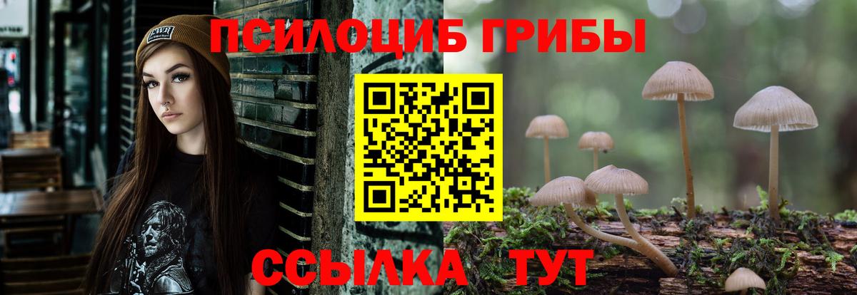 Тула  Галлюциногенные грибы GOLDEN TEACHER  Вход с VPN 