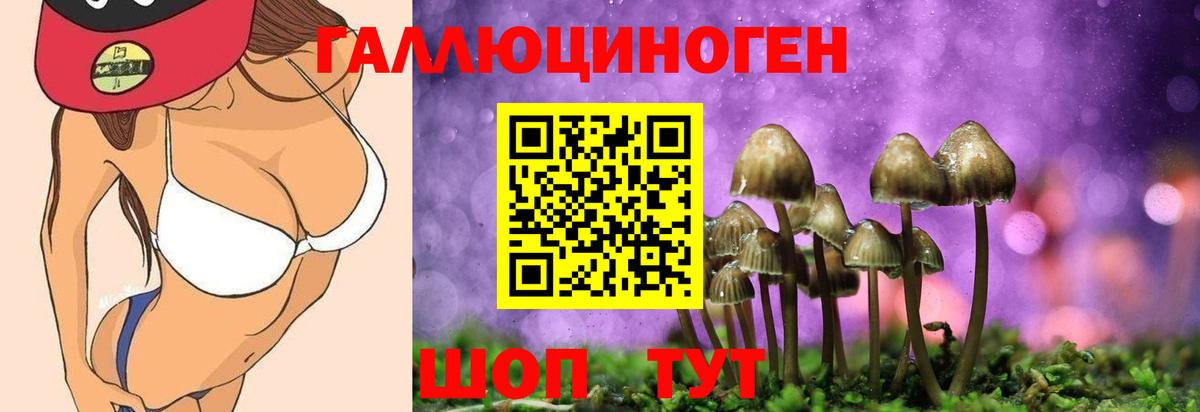 Псилоцибиновые грибы Psilocybe Тула